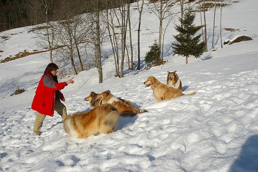 Fotos f. Homepage Galerie 009